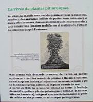 11 - Les plantes d'ornement au 19e (1).jpg